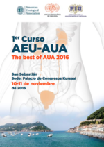 Ier Curso AEU-AUA