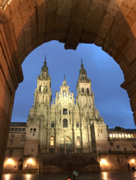 IIIª Jornada Multidisciplinar Norte de Cáncer de Próstata (Santiago). Catedral